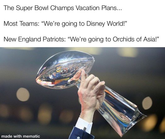 New-England-Patriots-Memes.jpg