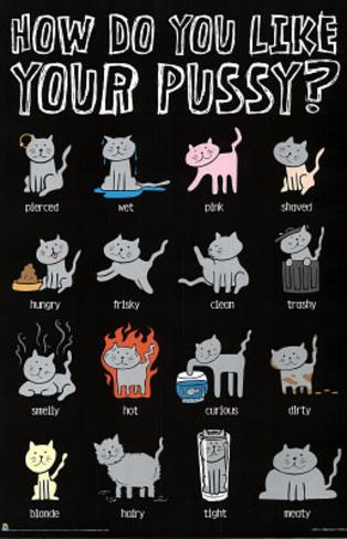 how-do-you-like-your-pussy-funny-list-art-poster-print_a-G-8927171-0.jpg