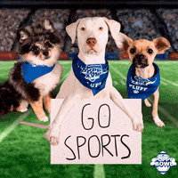 Dogs Cheer GIF by Puppy Bowl