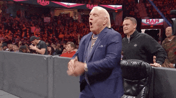 Happy Ric Flair GIF by WWE
