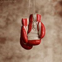 boxing GIF
