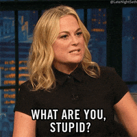 Amy Poehler Lol GIF by Late Night with Seth Meyers
