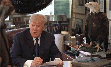 Bald Eagle Donald Trump GIF - BaldEagle DonaldTrump Attack - Discover &  Share GIFs