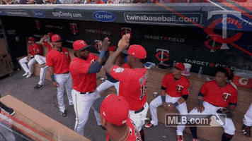 minnesota twins special handshake GIF by MLB