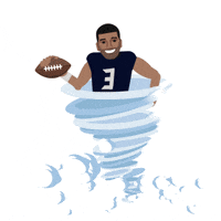 seattle seahawks spinning GIF by SportsManias