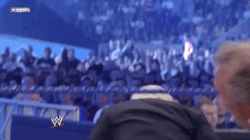 ric flair wrestling GIF by WWE