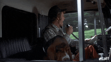 On The Road Lol GIF by Laff