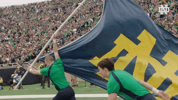 Celebrate Notre Dame GIF by Notre Dame Fighting Irish