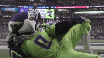 wave blitz GIF by Seattle Seahawks