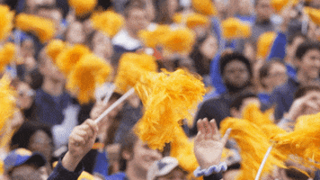 Excited Football GIF by Pitt Panthers