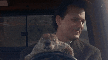 Groundhog Day GIFs - Get the best GIF on GIPHY