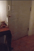Trick Or Treat Reaction GIF by MOODMAN