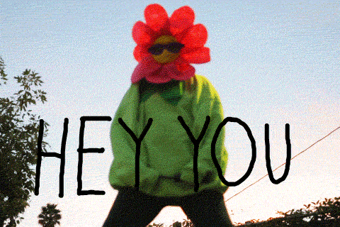 Flower Fight Me GIF by Nicky Rojo - Find & Share on GIPHY