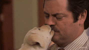 Parks And Recreation Dog GIF by PeacockTV