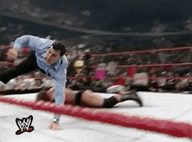 shane mcmahon wrestling GIF by WWE