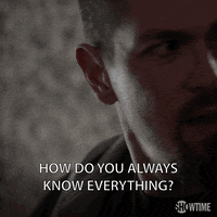 season 6 how do you always know everything GIF by Shameless