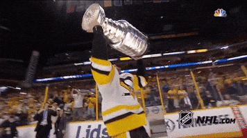 stanley cup crosby GIF by NHL