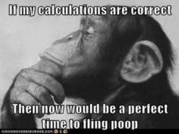 chimpanzee-the-flinger.jpg