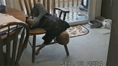 free-animated-gifs-of-kids-passed-out-fell-asleep-chair.gif