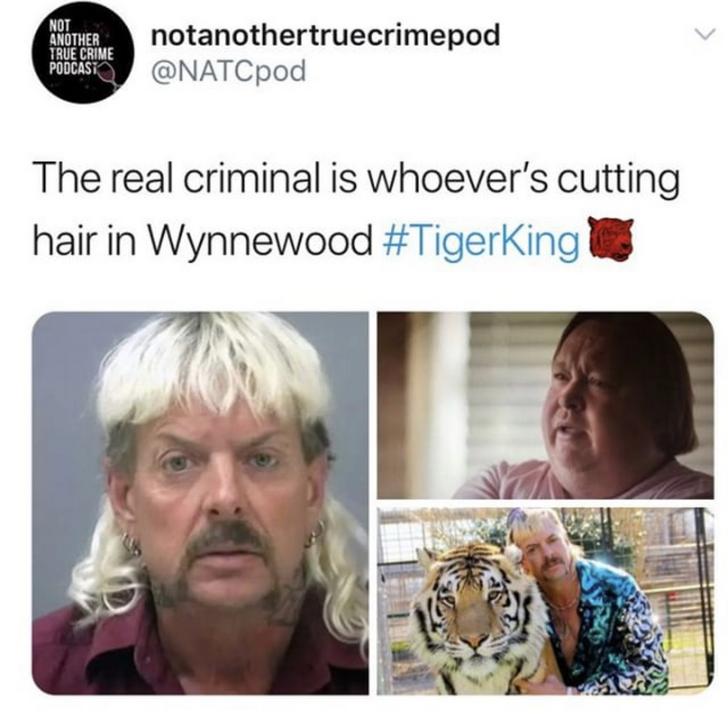 tiger-king-memes-1.jpg