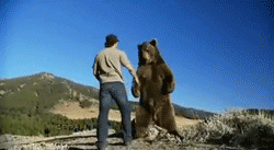 Bear-Giving-Man-High-Five.gif.cf.gif