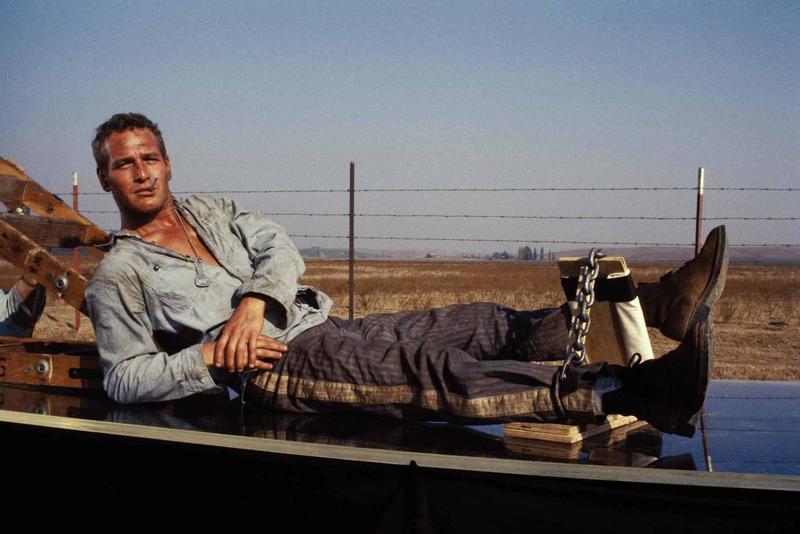 primary_still-of-paul-newman-in-cool-hand-luke-_1967_-large-picture.jpg