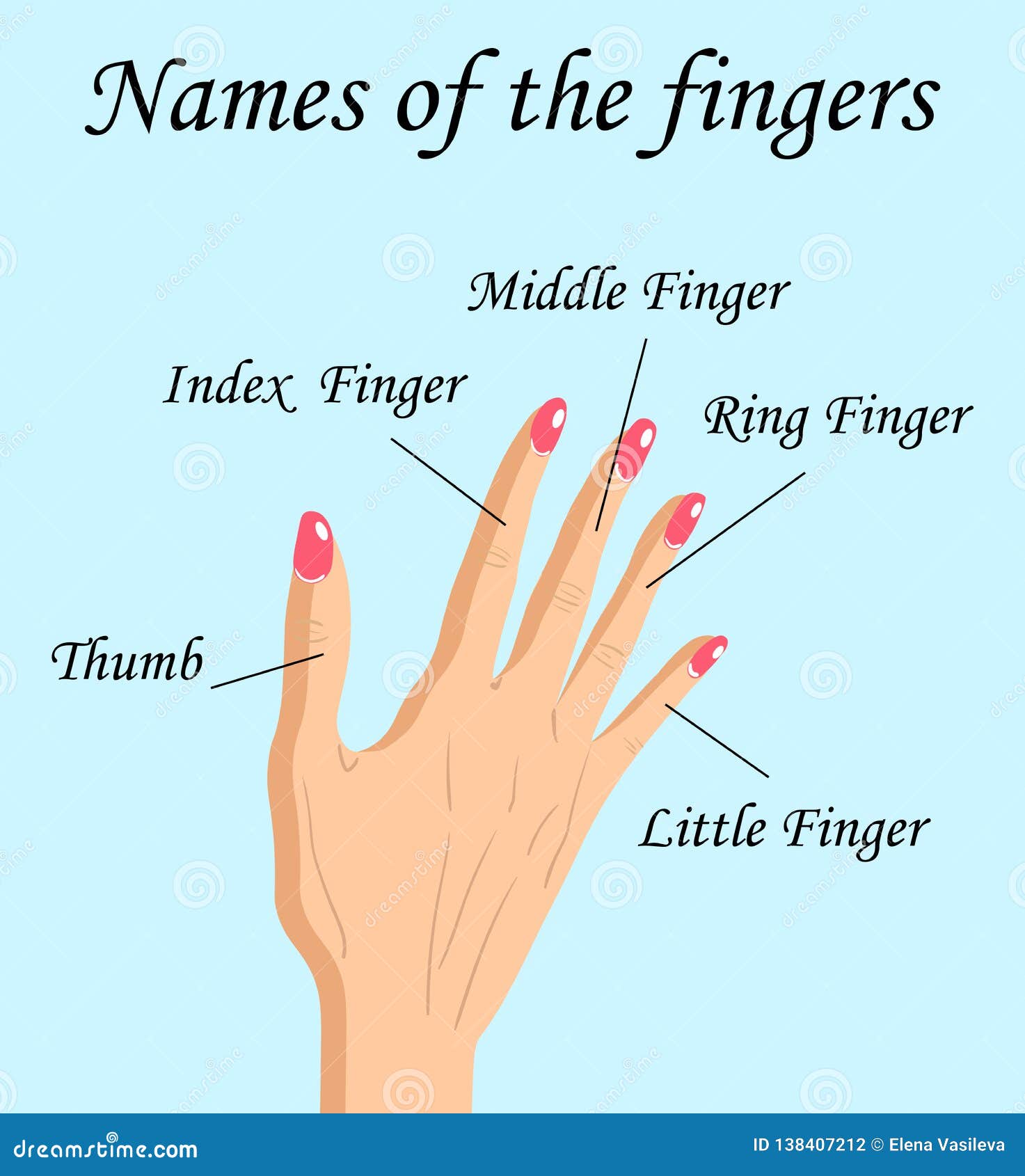 fingers-names-human-body-parts-vector-cartoon-illustration-human-fingers-its-names-fingers-names-human-body-parts-138407212.jpg
