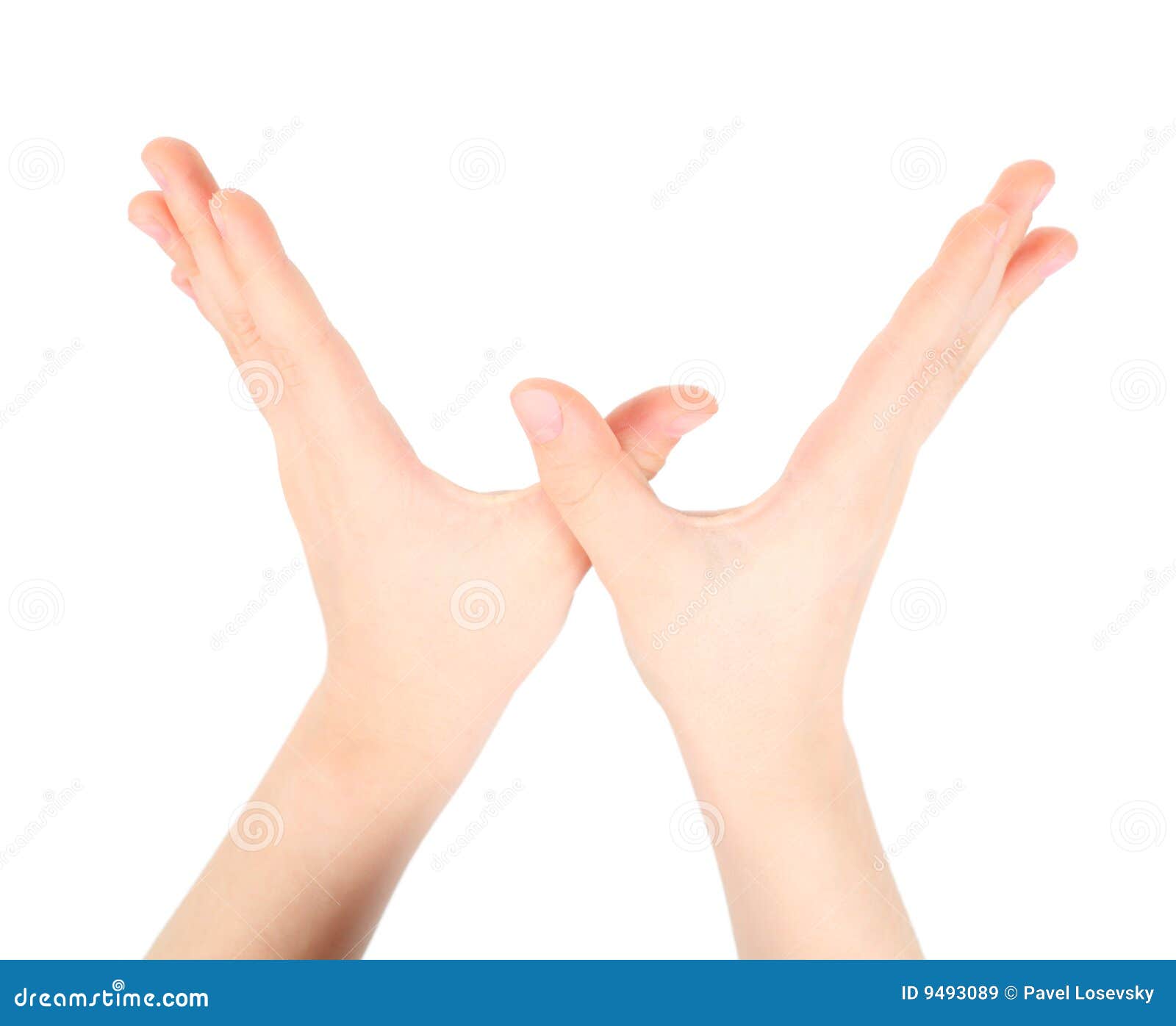 hands-represents-letter-w-alphabet-9493089.jpg