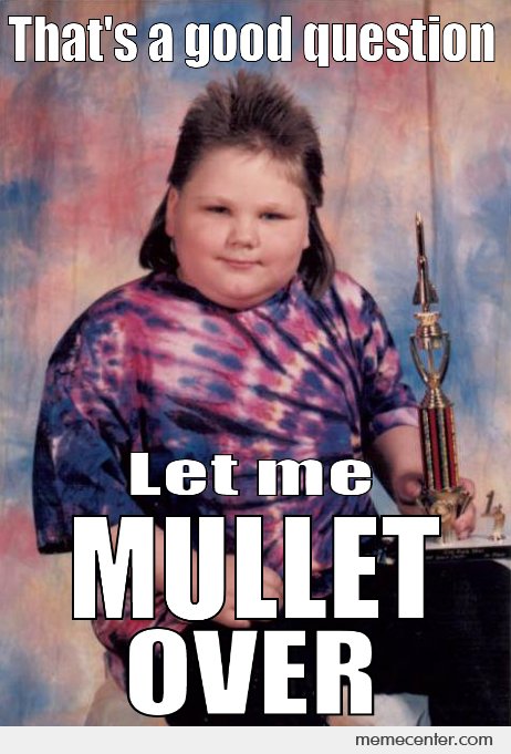 Thats-A-Good-Question-Let-Me-Mullet-Over-Funny-Meme-Image.jpg