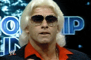 Image result for Ric Flair GIF