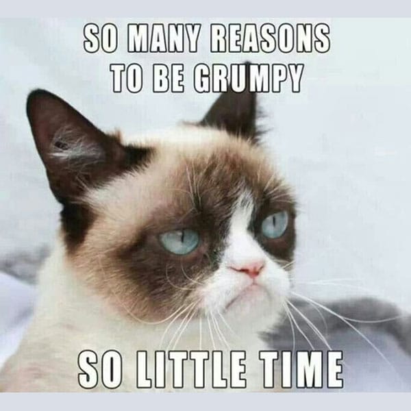 grumpy-cat-meme-00.jpg