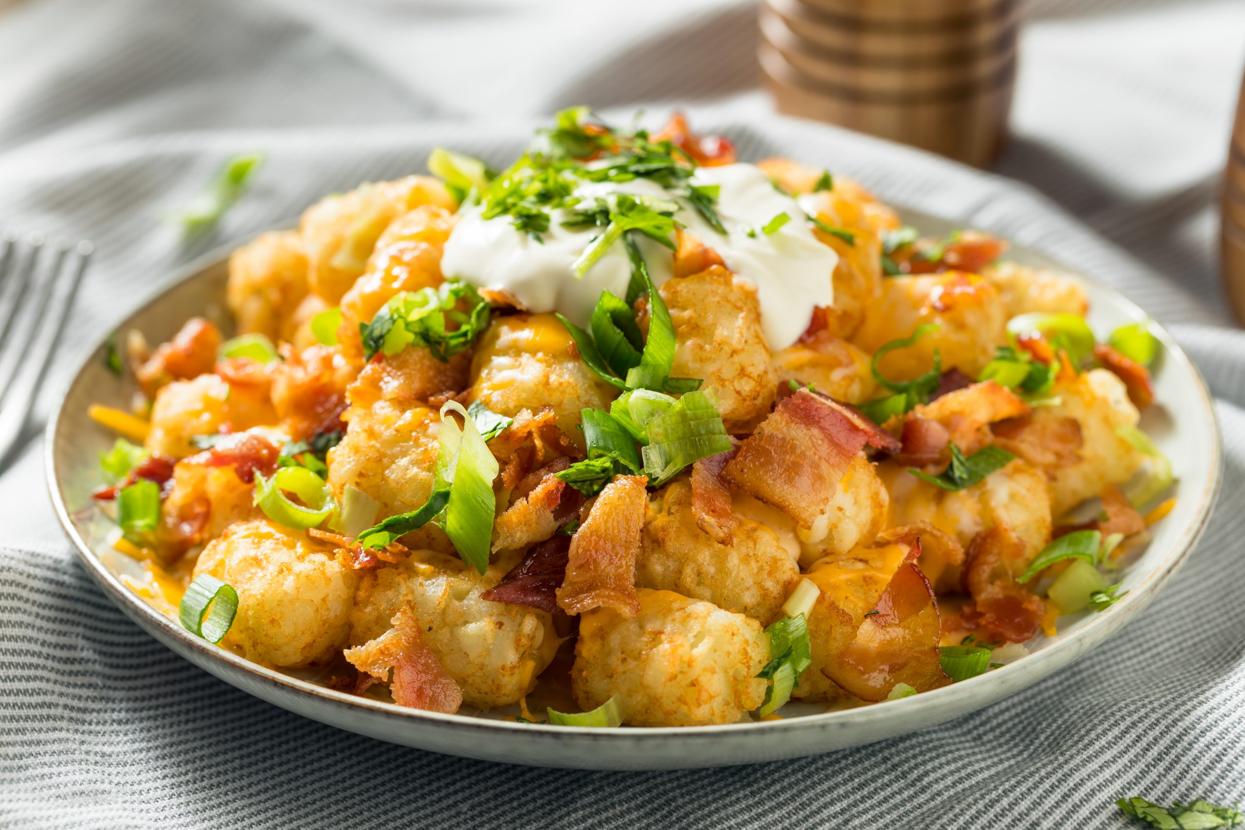 spicy-homemade-loaded-taters-tots-9ATK87Q.jpg