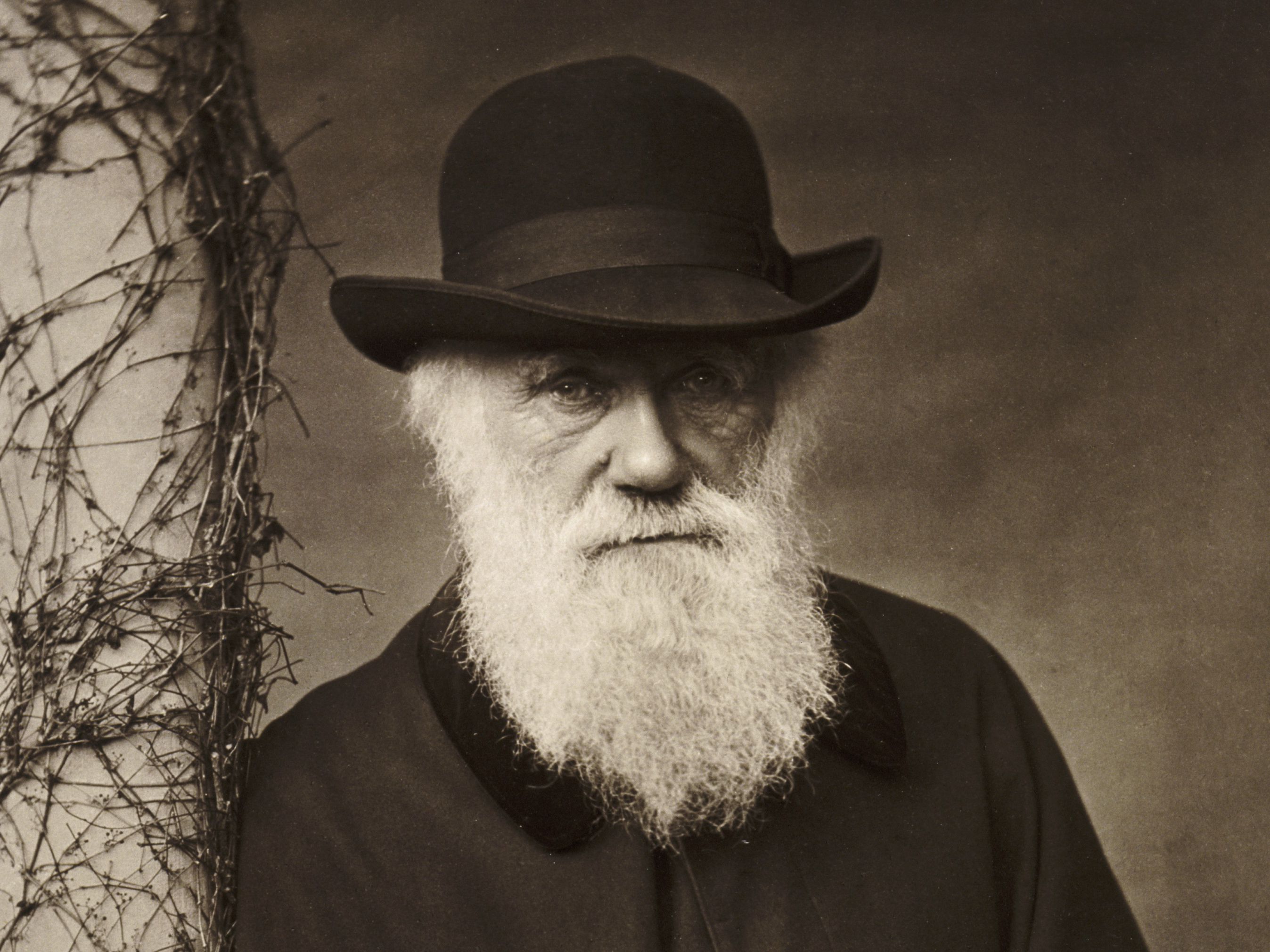 Charles-Darwin-3000-3x2gty-56a4890a3df78cf77282ddaf.jpg